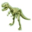 4M Tyrannosaurus Rex DNS készlet - KP JÁTÉK