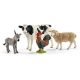 Schleich Farm World induló készlet - KP JÁTÉK