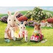 Sylvanian Families Bébi járgány szett - KP JÁTÉK