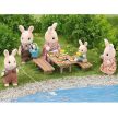 Sylvanian Families Családi grillkészlet - KP JÁTÉK